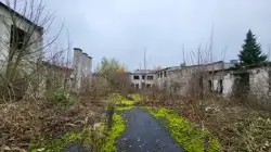 Zdjęcie 1
