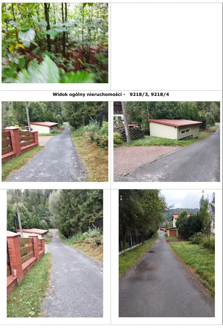 Zdjęcie 1