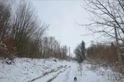 Zdjęcie 1