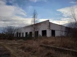 Zdjęcie 1