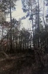 Zdjęcie 1