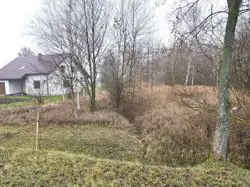 Zdjęcie 1