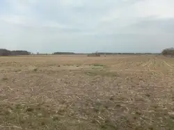 Zdjęcie 1