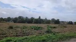 Zdjęcie 1