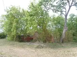 Zdjęcie 1