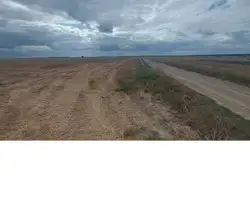 Zdjęcie 1