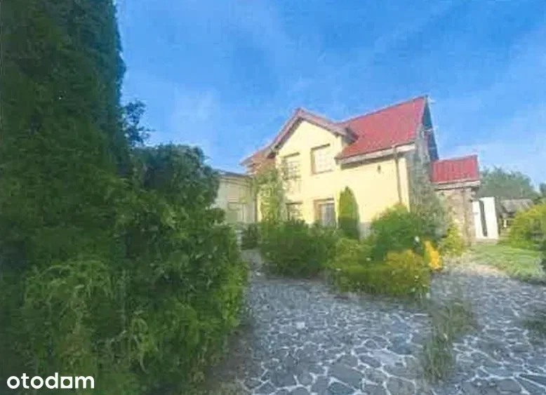 Zdjęcie 1