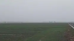 Zdjęcie 1