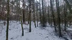 Zdjęcie 1