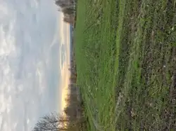 Zdjęcie 1