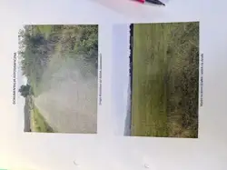 Zdjęcie 1