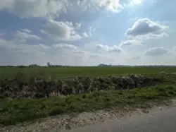 Zdjęcie 1