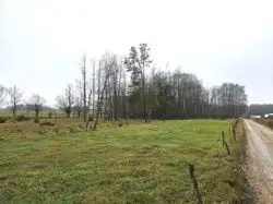 Zdjęcie 1
