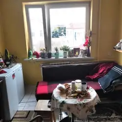 Zdjęcie 1