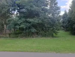 Zdjęcie 1