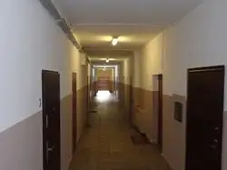 Zdjęcie 1