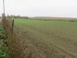 Zdjęcie 1