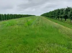 Zdjęcie 1