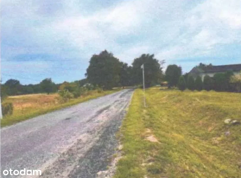 Zdjęcie 1