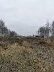 Zdjęcie 1