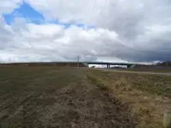 Zdjęcie 1