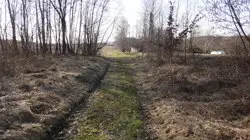 Zdjęcie 1
