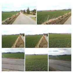 Zdjęcie 1