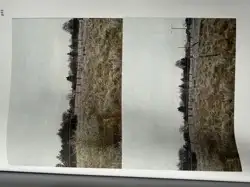 Zdjęcie 1