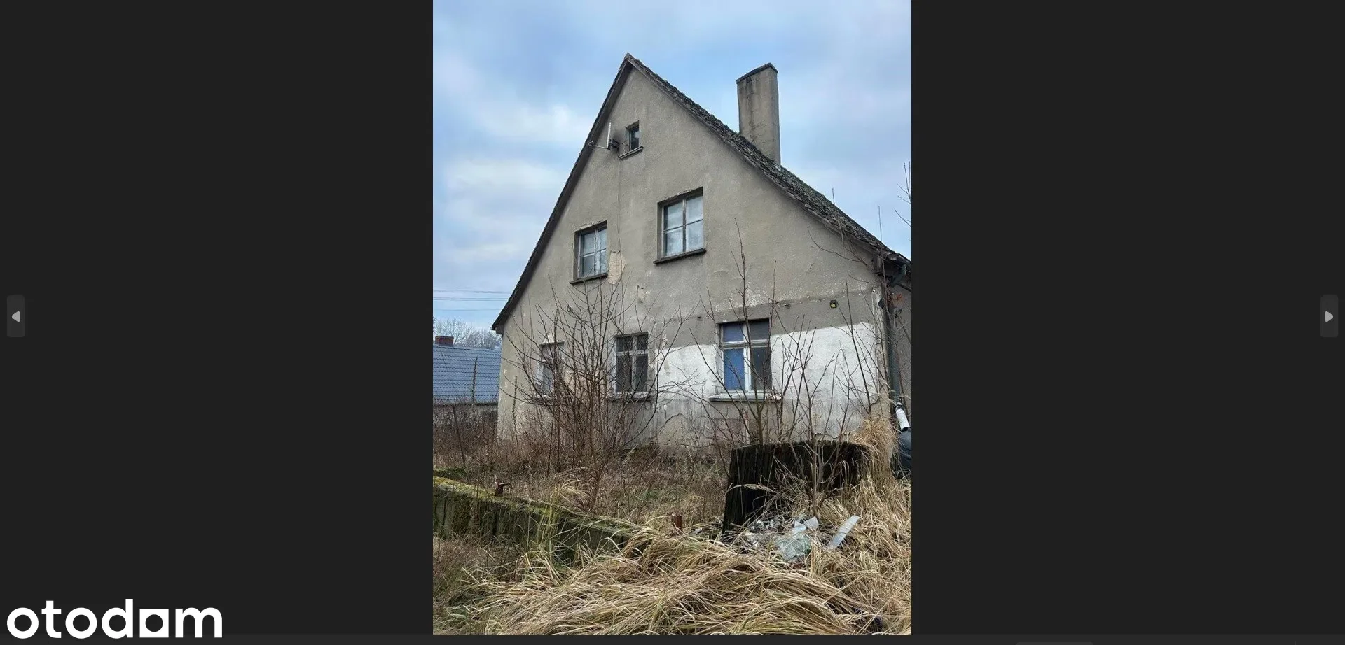 Zdjęcie 1