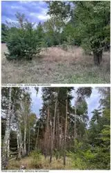 Zdjęcie 1