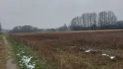 Zdjęcie 1
