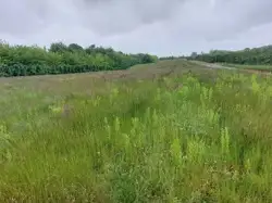 Zdjęcie 1
