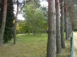 Zdjęcie 1