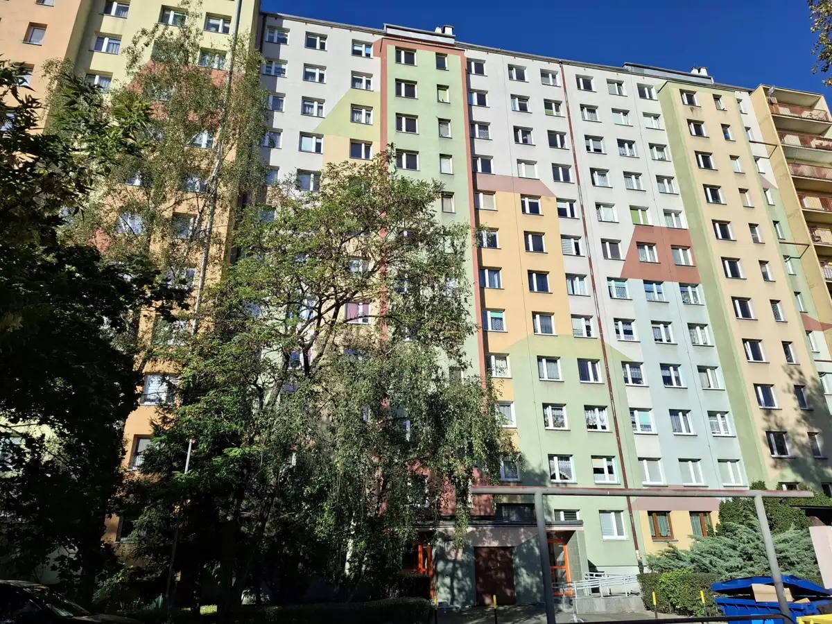 Zdjęcie 1