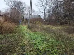 Zdjęcie 1