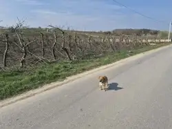 Zdjęcie 1