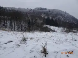 Zdjęcie 1