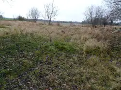Zdjęcie 1