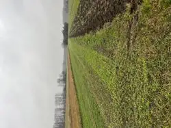 Zdjęcie 1