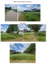 Zdjęcie 1