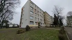 Zdjęcie 1