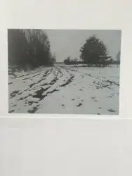 Zdjęcie 1