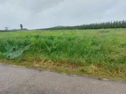 Zdjęcie 1