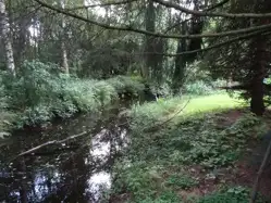 Zdjęcie 1
