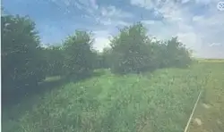 Zdjęcie 1