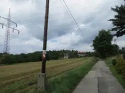 Zdjęcie 1