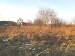 Zdjęcie 1