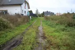 Zdjęcie 1