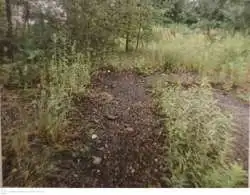 Zdjęcie 1