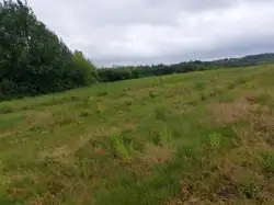Zdjęcie 1